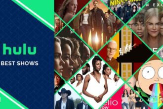 Top Hulu Shows of 2024: Small Screen Triumphs