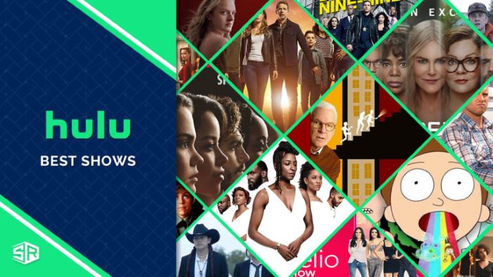 Top Hulu Shows of 2024: Small Screen Triumphs